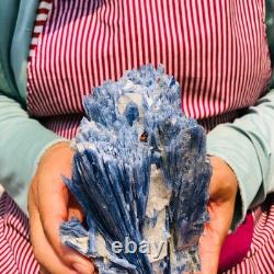 2 pièces 4,88LB Cristal Bleu Naturel Kyanite Brut Spécimen Minéral 1899