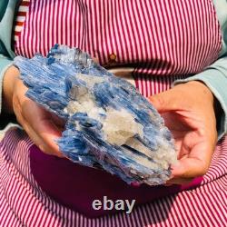 2 pièces 4,88LB Cristal Bleu Naturel Kyanite Brut Spécimen Minéral 1899
