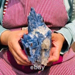 2 pièces 4,88LB Cristal Bleu Naturel Kyanite Brut Spécimen Minéral 1899