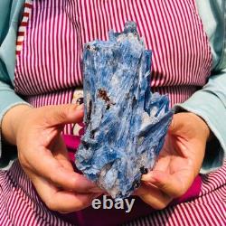 2 pièces 4,88LB Cristal Bleu Naturel Kyanite Brut Spécimen Minéral 1899