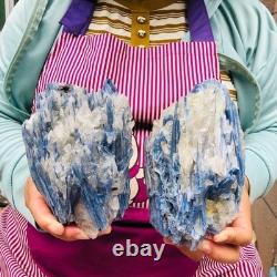2 pièces 5,91LB Cristal Bleu Naturel Kyanite Brut Spécimen Minéral 1900