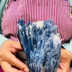 2 pièces 5,91LB Cristal Bleu Naturel Kyanite Brut Spécimen Minéral 1900