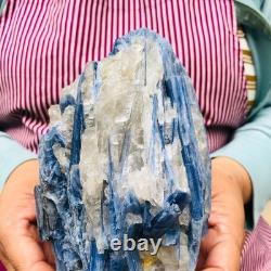 2 pièces 5,91LB Cristal Bleu Naturel Kyanite Brut Spécimen Minéral 1900