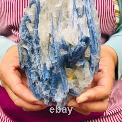 2 pièces 5,91LB Cristal Bleu Naturel Kyanite Brut Spécimen Minéral 1900