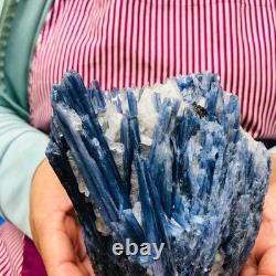 2 pièces 5,91LB Cristal Bleu Naturel Kyanite Brut Spécimen Minéral 1900