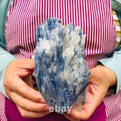 2 pièces 5,91LB Cristal Bleu Naturel Kyanite Brut Spécimen Minéral 1900