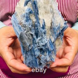 2 pièces 5,91LB Cristal Bleu Naturel Kyanite Brut Spécimen Minéral 1900