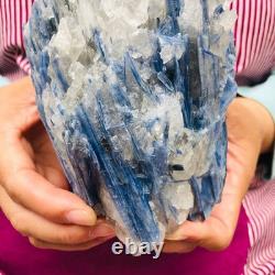 2 pièces 5,91LB Cristal Bleu Naturel Kyanite Brut Spécimen Minéral 1900