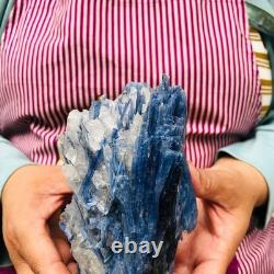 2 pièces 5,91LB Cristal Bleu Naturel Kyanite Brut Spécimen Minéral 1900