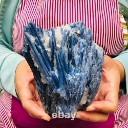 2 pièces 5,91LB Cristal Bleu Naturel Kyanite Brut Spécimen Minéral 1900
