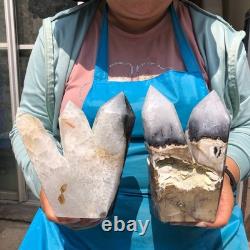 2 pièces 6,33LB Agate volcanique naturelle plusieurs piliers pointus guérissant 2227