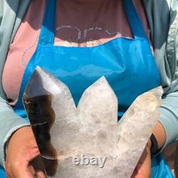 2 pièces 6,33LB Agate volcanique naturelle plusieurs piliers pointus guérissant 2227