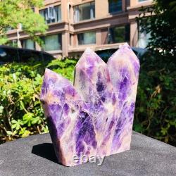 2piec6.11LB Cristal de quartz améthyste naturel rêveur colonnes pointues multiples 1167