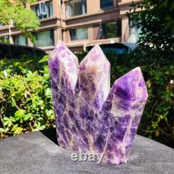 2piec6.11LB Cristal de quartz améthyste naturel rêveur colonnes pointues multiples 1167