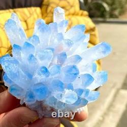 300G Grand Rare Quartz Cluster Cristal Phantom Bleu Bébé Ornements Maison