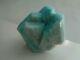 320g Giant Amazonite Twin Collection Piece Lake George Colorado