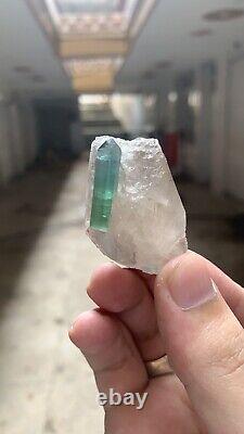 33 grammes de cristaux de tourmaline dans du quartz, magnifique pièce d'Afghanistan.