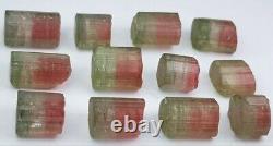 34 Ct Tourmaline naturelle bicolore 12 pièces Lot de cristaux d'Afghanistan