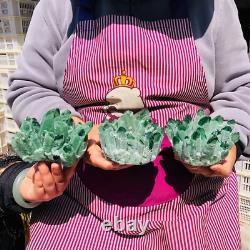 3Pièces 2070g Rare Cristal de Quartz Phantom Vert Scintillant Cluster Échantillon 712