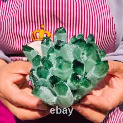3Pièces 2070g Rare Cristal de Quartz Phantom Vert Scintillant Cluster Échantillon 712