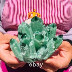 3Pièces 2070g Rare Cristal de Quartz Phantom Vert Scintillant Cluster Échantillon 712