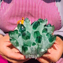 3Pièces 2070g Rare Cristal de Quartz Phantom Vert Scintillant Cluster Échantillon 712