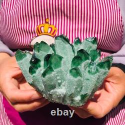 3Pièces 2070g Rare Cristal de Quartz Phantom Vert Scintillant Cluster Échantillon 712