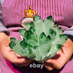 3pièces 5.28LB Nouvelle trouvaille grise PhantomQuartz Crystal Cluster MinéralSpécimen 711