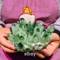 3pièces 5.28LB Nouvelle trouvaille grise PhantomQuartz Crystal Cluster MinéralSpécimen 711