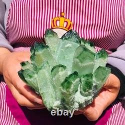 3pièces 5.28LB Nouvelle trouvaille grise PhantomQuartz Crystal Cluster MinéralSpécimen 711