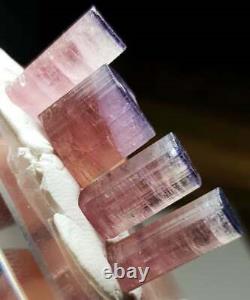 43 Carat 4 Pièces Bi Color Pink Blue Cap Tourmaline Crystal Lot From Afghanistan