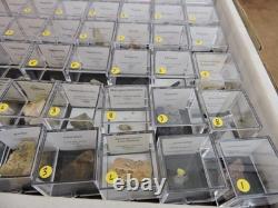 54 pièces Échantillon Minéral en Gros Plat