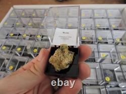 54 pièces Échantillon Minéral en Gros Plat