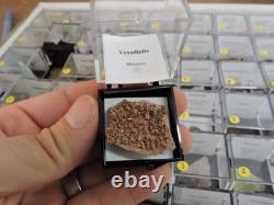 54 pièces Échantillon Minéral en Gros Plat