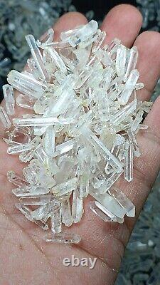 590g Petits cristaux de quartz avec une belle brillance, idéaux pour les bijoux. Lot de plus de 300 pièces.