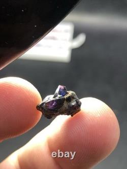 5.16 Crt / Cristaux de Saphir Winza Naturels Sur Matrice. Pièce de Collection