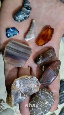 62 Pièces de Cristaux d'Opale Flèche de Dinosaure Trilobite Tourmaline Pastèque