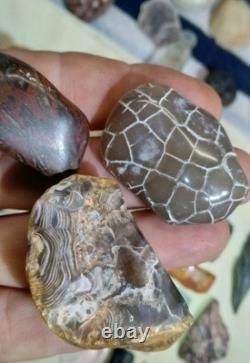 62 Pièces de Cristaux d'Opale Flèche de Dinosaure Trilobite Tourmaline Pastèque