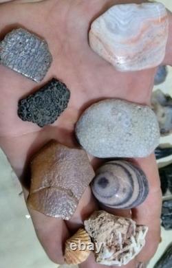 62 Pièces de Cristaux d'Opale Flèche de Dinosaure Trilobite Tourmaline Pastèque