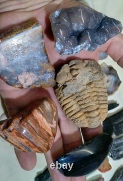 62 Pièces de Cristaux d'Opale Flèche de Dinosaure Trilobite Tourmaline Pastèque