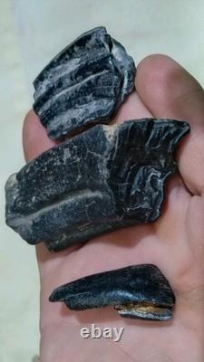 62 Pièces de Cristaux d'Opale Flèche de Dinosaure Trilobite Tourmaline Pastèque