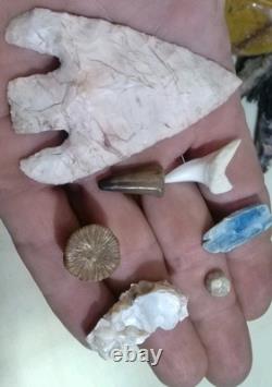 62 Pièces de Cristaux d'Opale Flèche de Dinosaure Trilobite Tourmaline Pastèque