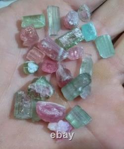 62 Pièces de Cristaux d'Opale Flèche de Dinosaure Trilobite Tourmaline Pastèque
