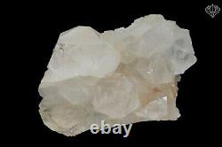 837gram Grand Cristal Blanc Naturel Quartz Cluster Rough Specimen Géode Pierre