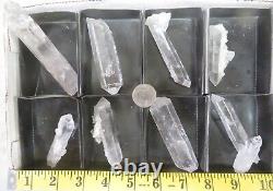 8 Pièces Pointe de Quartz Plat Mine Coleman Jessieville Arkansas