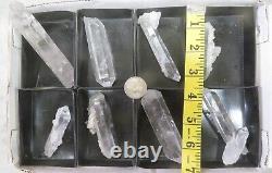 8 Pièces Pointe de Quartz Plat Mine Coleman Jessieville Arkansas