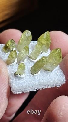 AAA Belle collection de 9 pièces de spécimens de vézuviannite Jeffrey Québec. (Fermé)