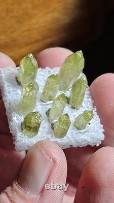 AAA Belle collection de 9 pièces de spécimens de vézuviannite Jeffrey Québec. (Fermé)