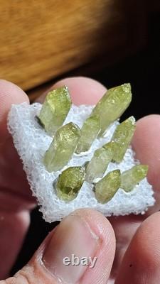 AAA Belle collection de 9 pièces de spécimens de vézuviannite Jeffrey Québec. (Fermé)