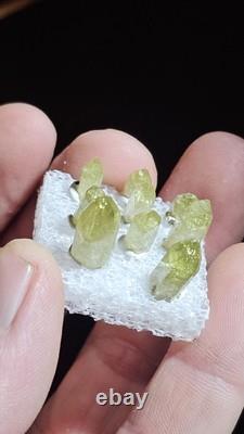 AAA Belle collection de 9 pièces de spécimens de vézuviannite Jeffrey Québec. (Fermé)